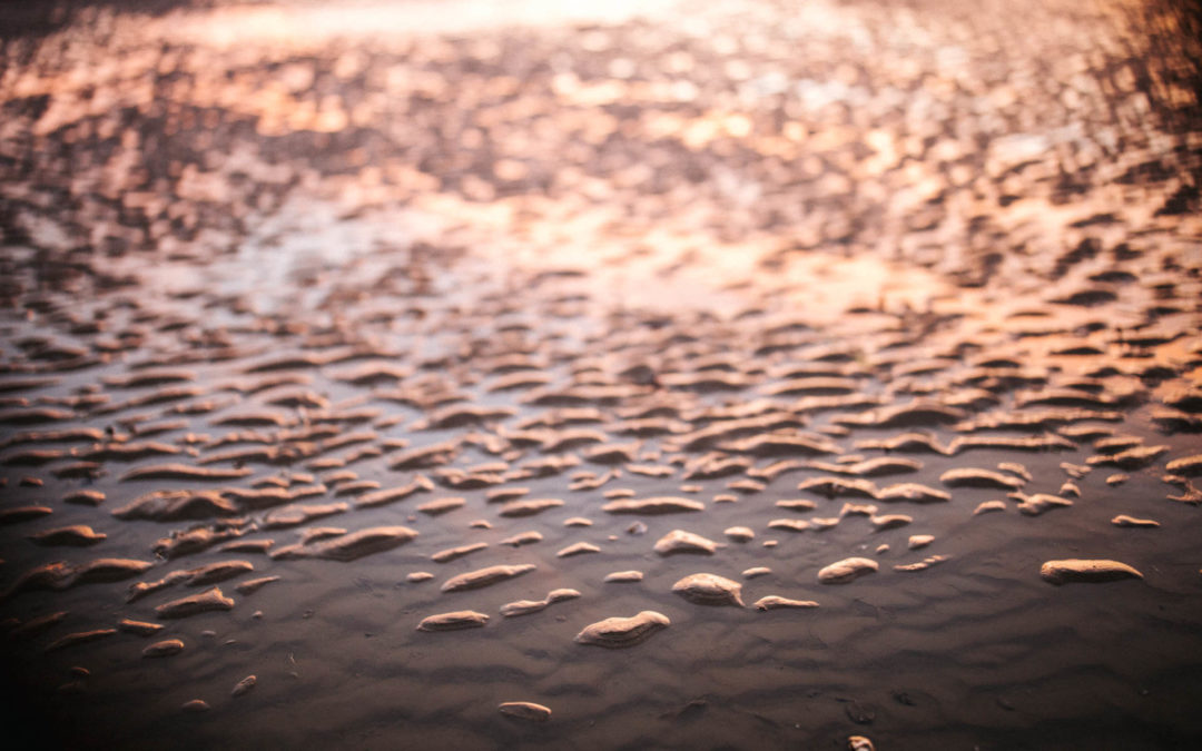 Les secrets de nos valeurs – Baptiste