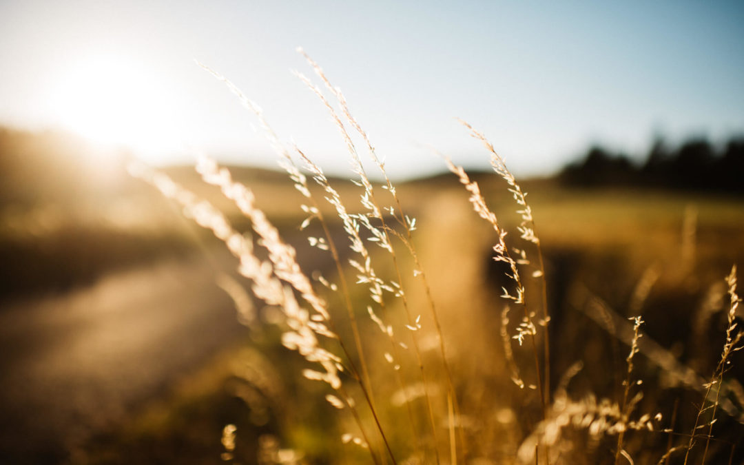 Motivation : comment se fixer des objectifs ?