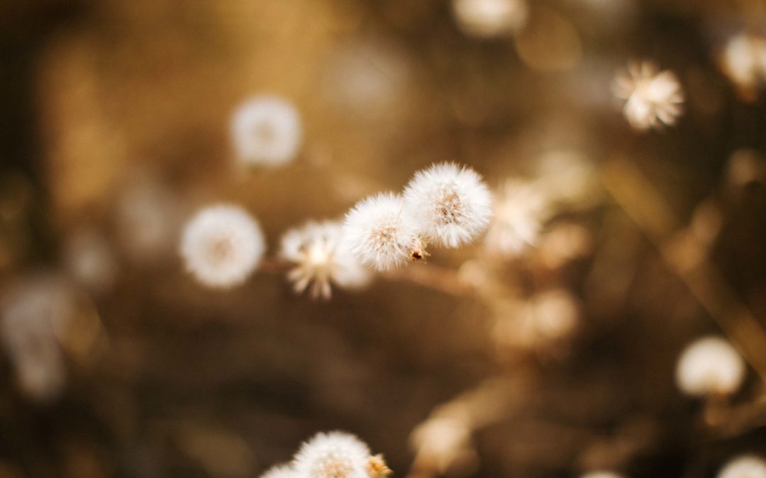 Trouver l&rsquo;inspiration et se renouveler !